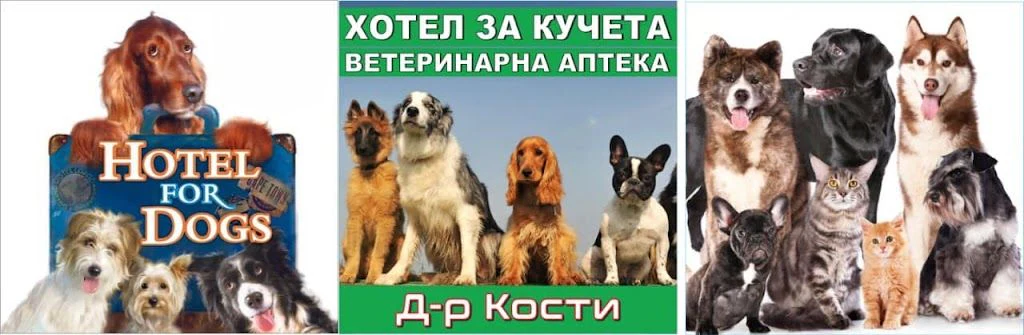 Хотел за кучета "Доктор Кости" — фото 2