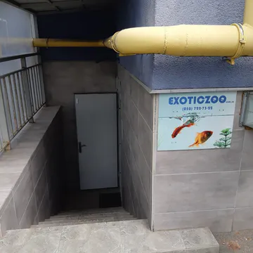 Фото бізнесу Магазин акваріумних рибок "ExoticZOO"