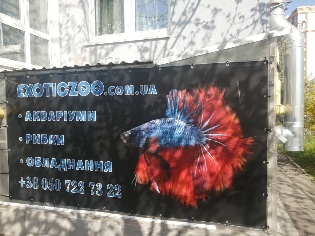 Магазин акваріумних рибок "ExoticZOO" — фото 2