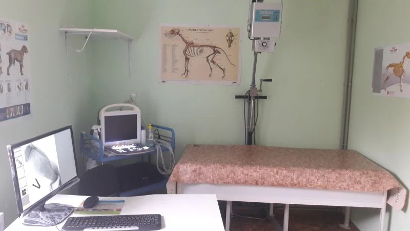 Ветеринарна клініка "Оленятко"/ Ветеринарна аптека, Зоотовари — фото 4