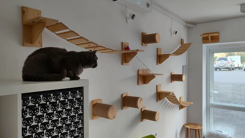 Зооготель для котів "Cat Hub" — фото 2
