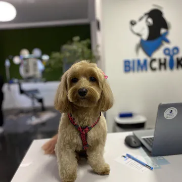 Фото бізнесу Грумінг-салон "Bimchik" | "Бімчік"