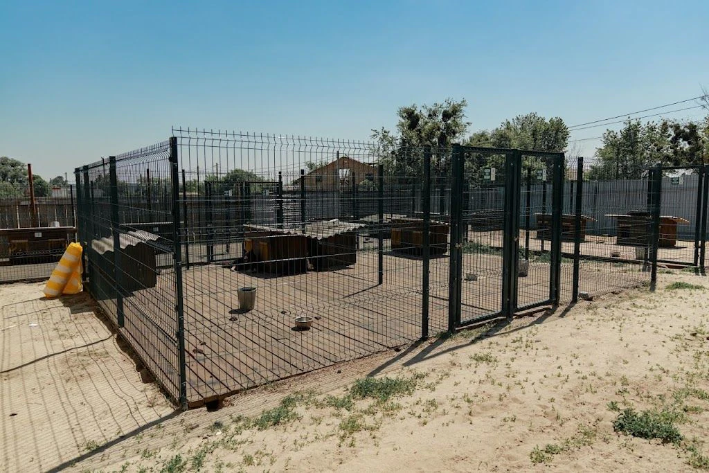 Притулок для тварин "Gostomel Shelter" — фото 4