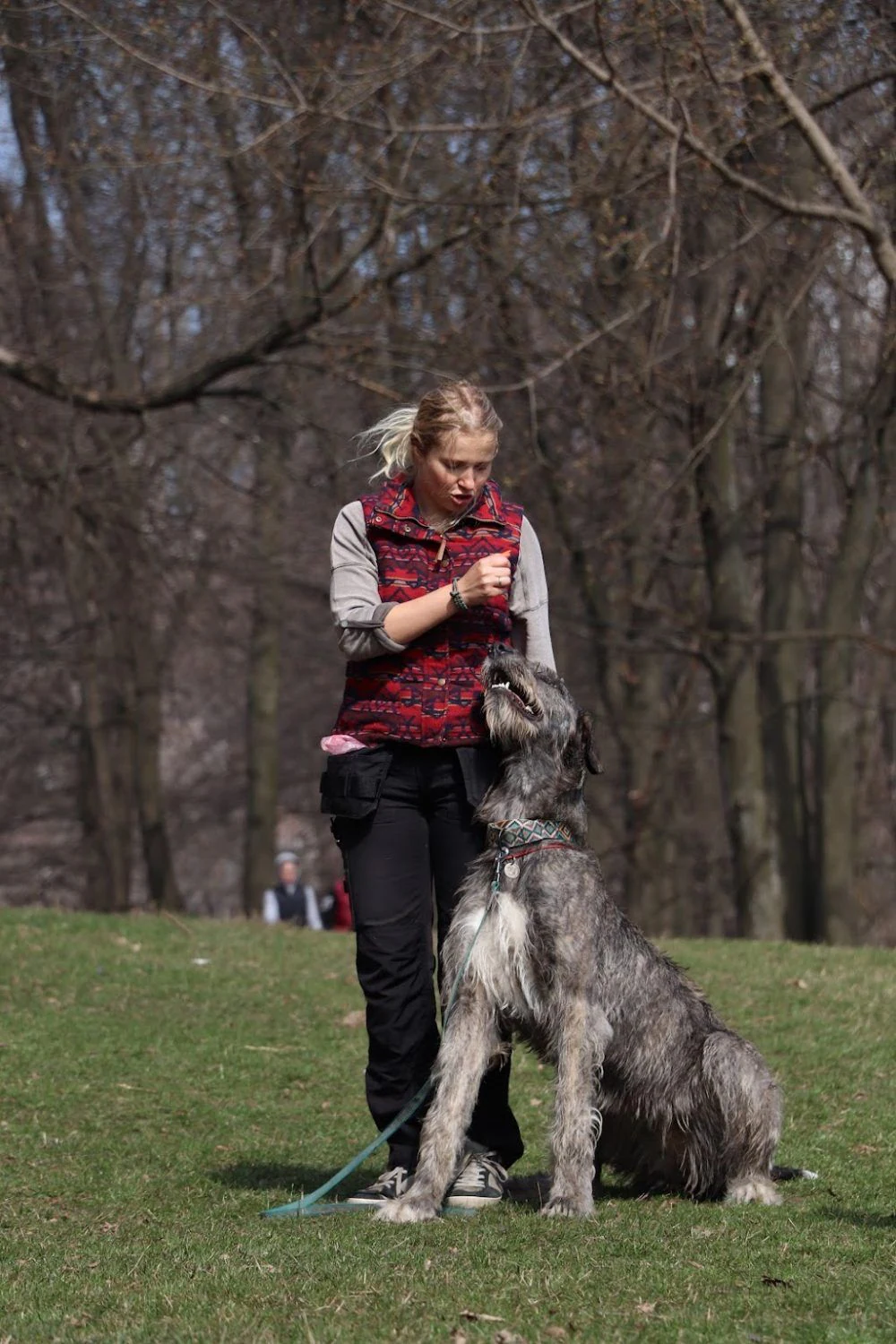 Школа дресирування "Volya Dog Training" — фото 3