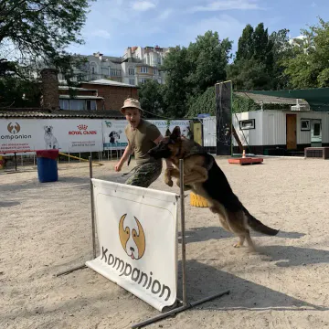 Фото бізнесу Навчально-дресирувальний центр "Компаньйон"
