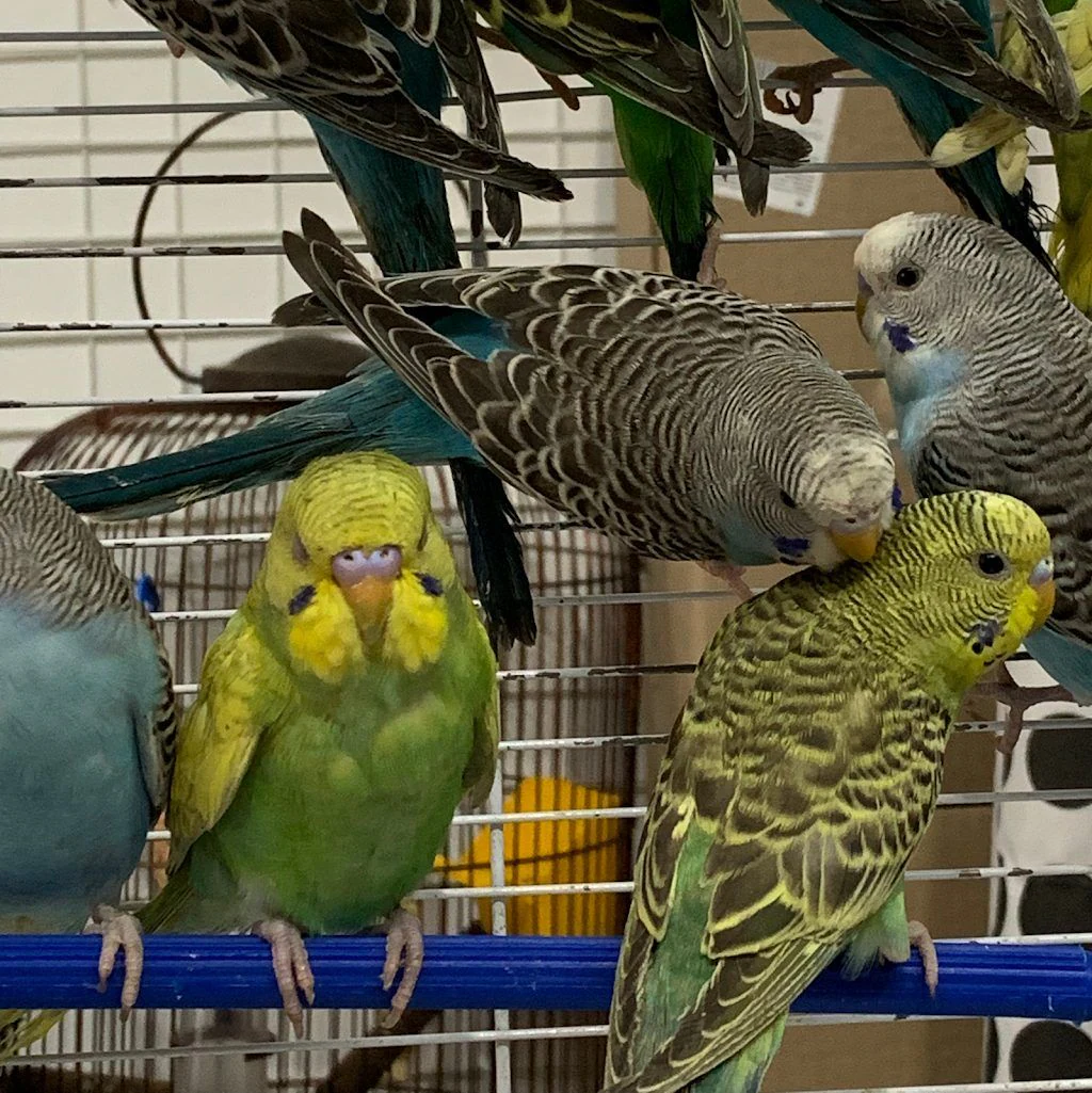 Зоомагазин "HAPPY PETS" — фото 2
