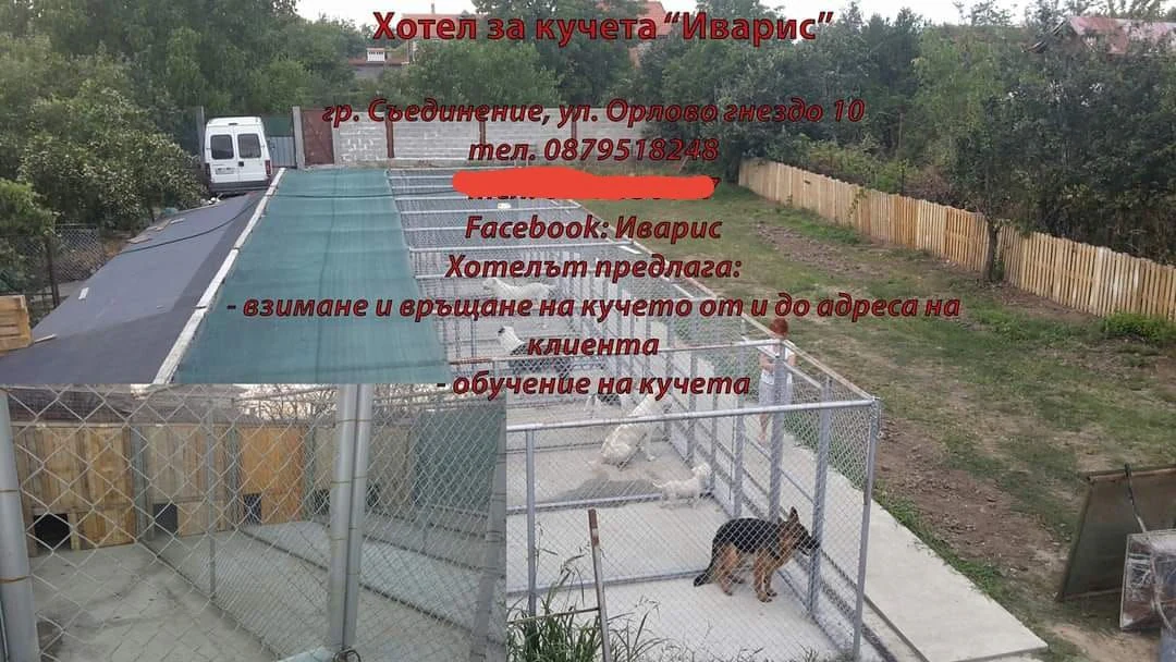 Хотел за кучета "Иварис" — фото 4