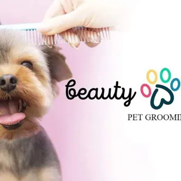 Фото бізнесу Груминг "Beauty Paws - Vili"