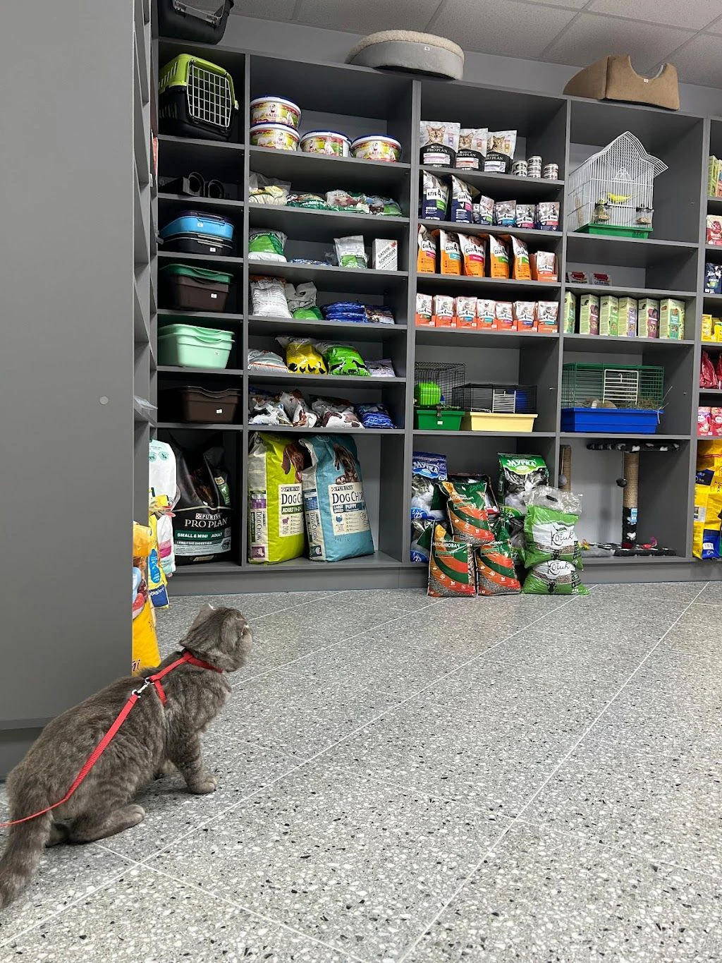 Зоокомплекс «Vetlife» — фото 3