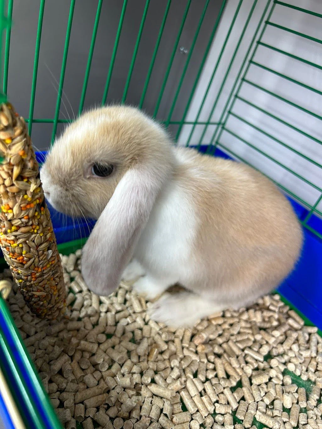 Зоокомплекс «Vetlife» — фото 2