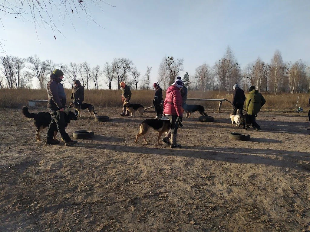 Кінологічний центр "Oskal" — фото 3