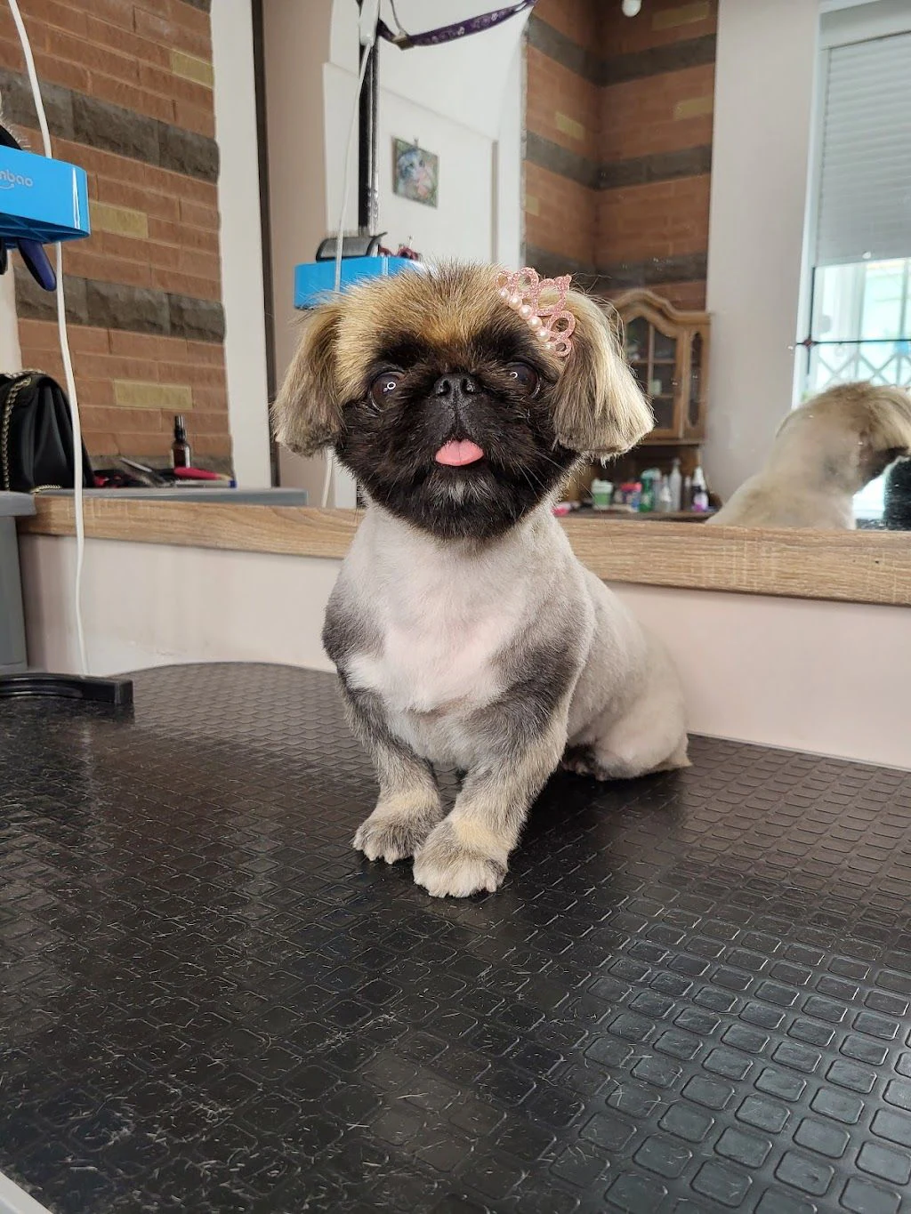 Грумінг-салон "Pet groom" — фото 3