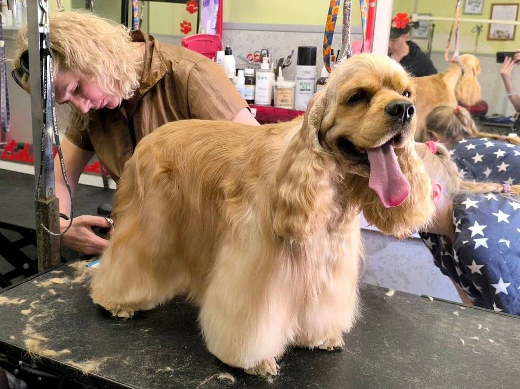 Грумінг салон "PROFI GROOM" — фото 2