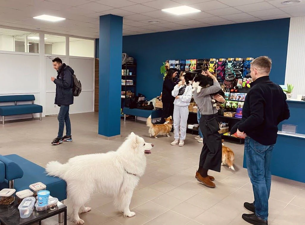 Ветеринарна клініка, Зоомагазин, Грумінг "Pet Wealth" — фото 2