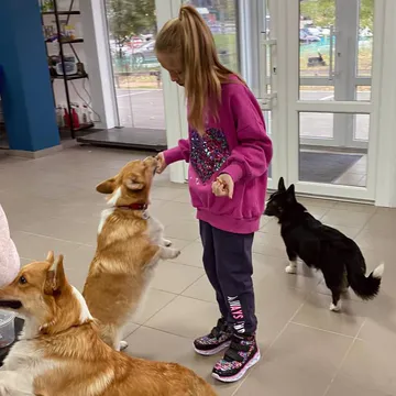 Фото бізнесу Ветеринарна клініка, Зоомагазин, Грумінг "Pet Wealth"