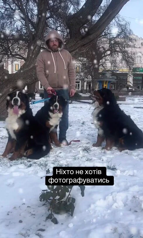 Розплідник Бернських Зенненхундів «Bonita Family» — фото 2