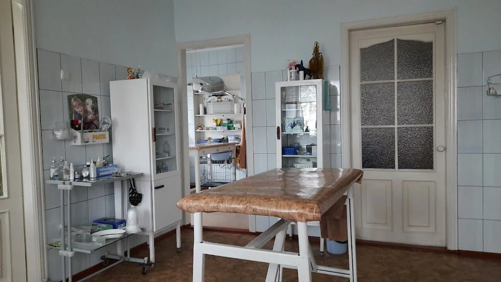 Ветеринарна клініка доктора Піневича — фото 2