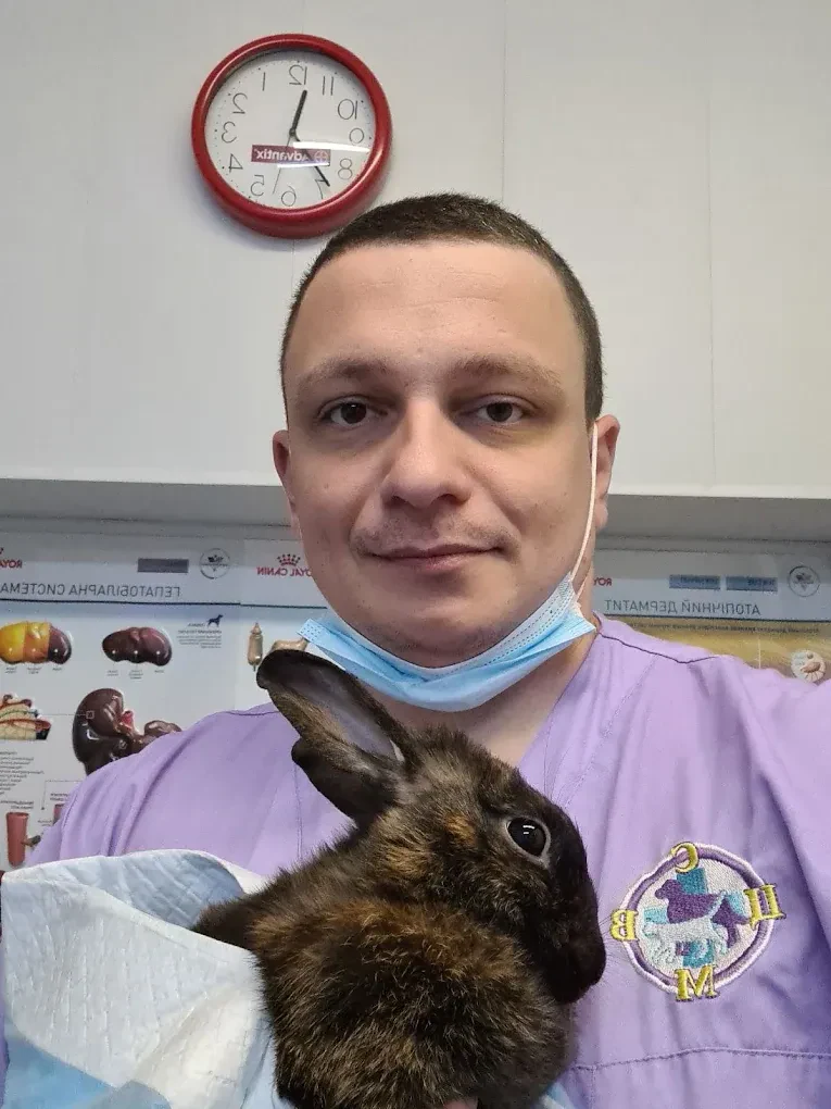 Ветеринарна клініка "Центр сучасної ветеринарної медицини" — фото 5