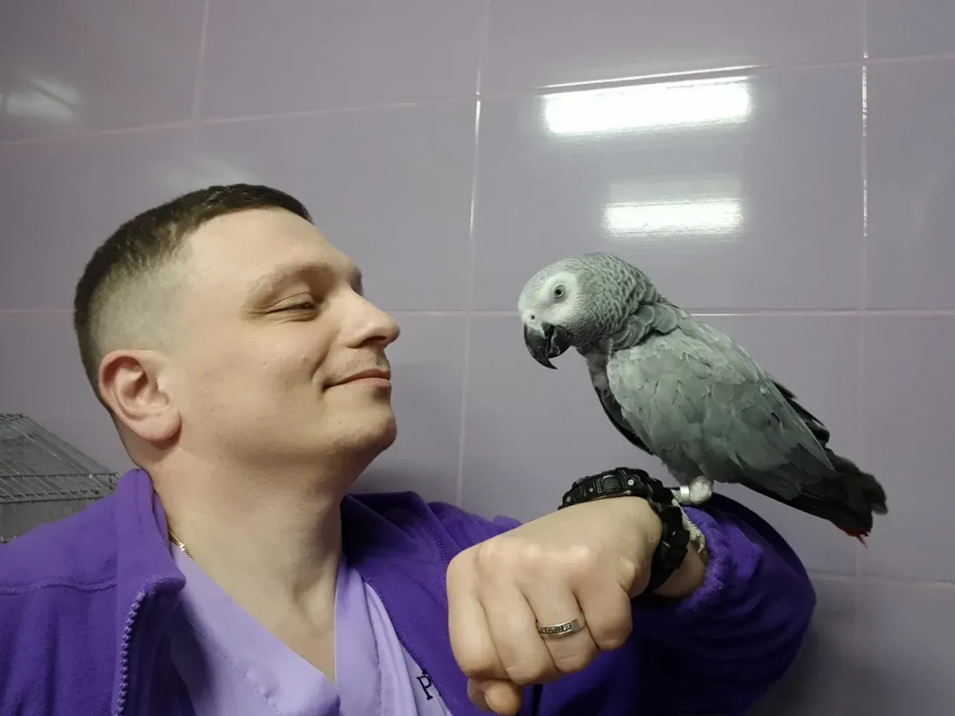 Ветеринарна клініка "Центр сучасної ветеринарної медицини" — фото 4