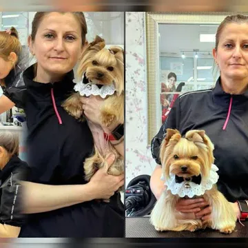 Фото бізнесу Груминг студио & Бутик "Doggy Dog"