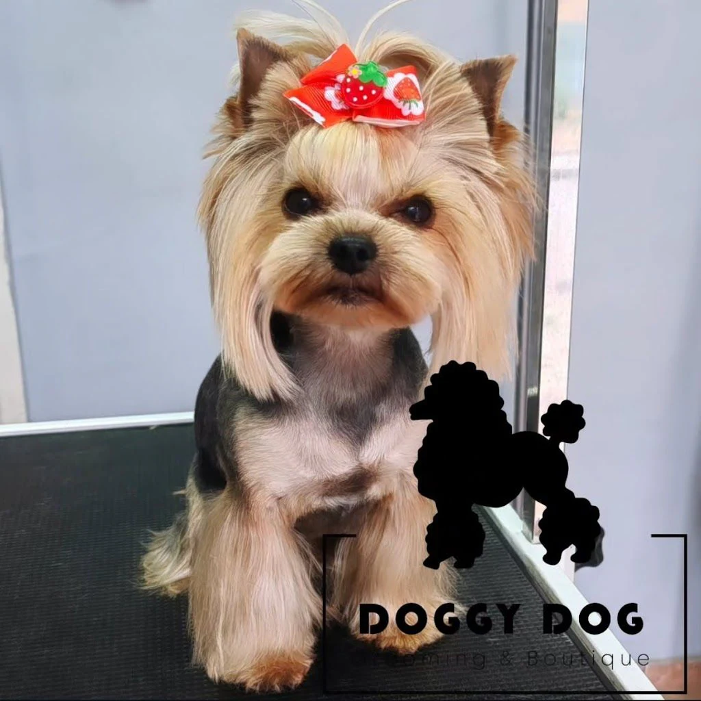 Груминг студио & Бутик "Doggy Dog" — фото 3