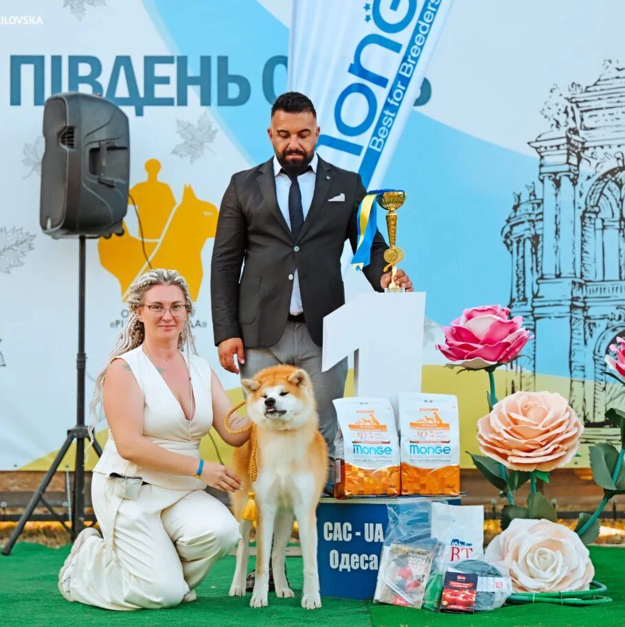 Розплідник Акіта-Іну «Umi no Kagayaki» — фото 4