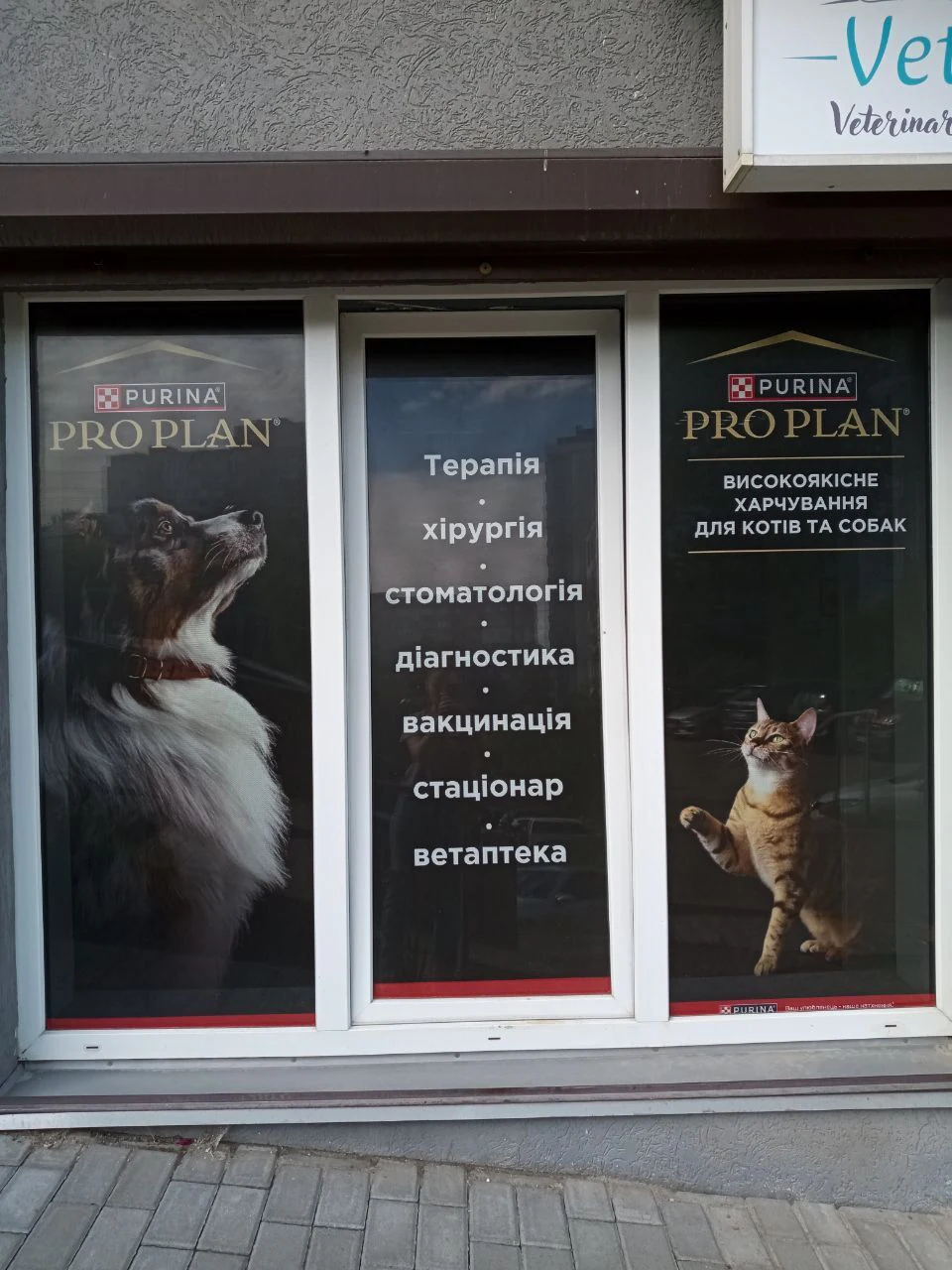 Ветеринарна клініка "Vetis" — фото 3
