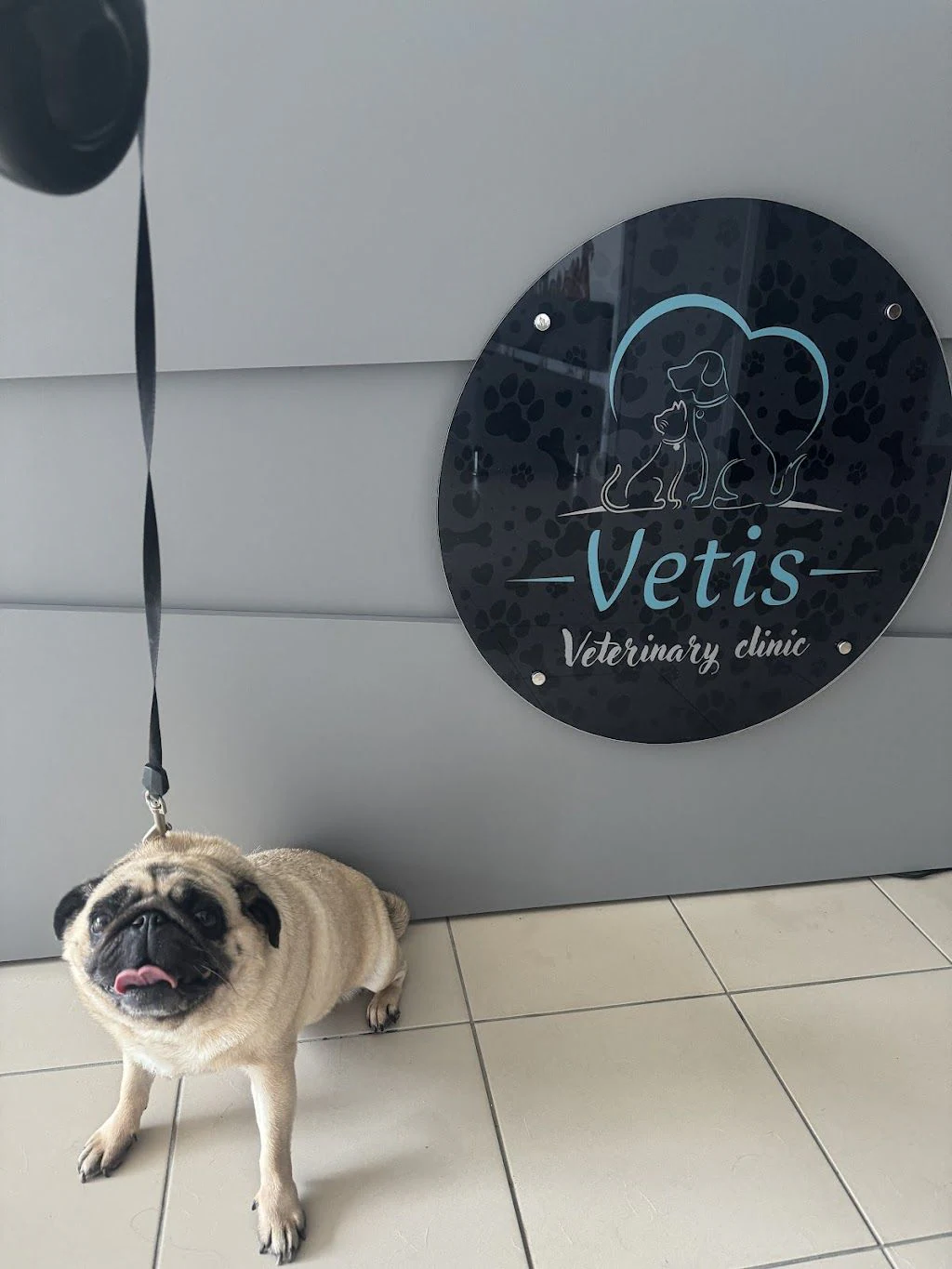 Ветеринарна клініка "Vetis" — фото 4