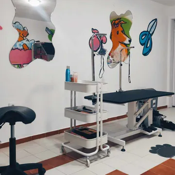 Фото бізнесу Груминг салон "Shampoo Puppy Pet Grooming"