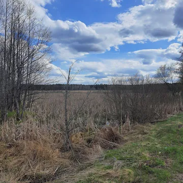 Фото бізнесу Орнітологічний заказник "Костянове"