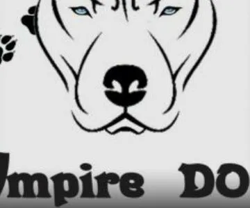 Фото бізнесу Кінологічний клуб "Empire Dog"
