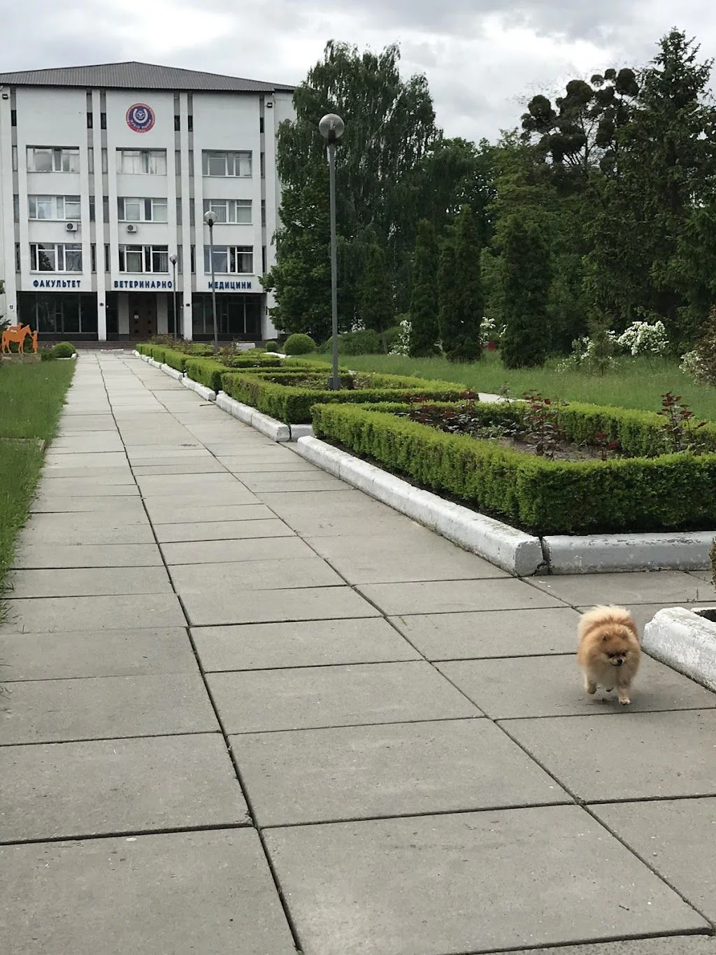 Київська міська лікарня ветеринарної медицини — фото 4