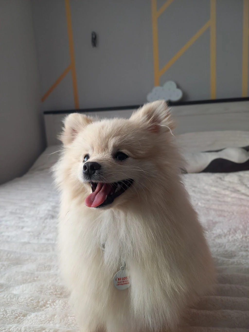 Зоомаркет "MasterZoo" — фото 3
