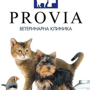 Фото бізнесу Ветеринарна клиника "Provia"