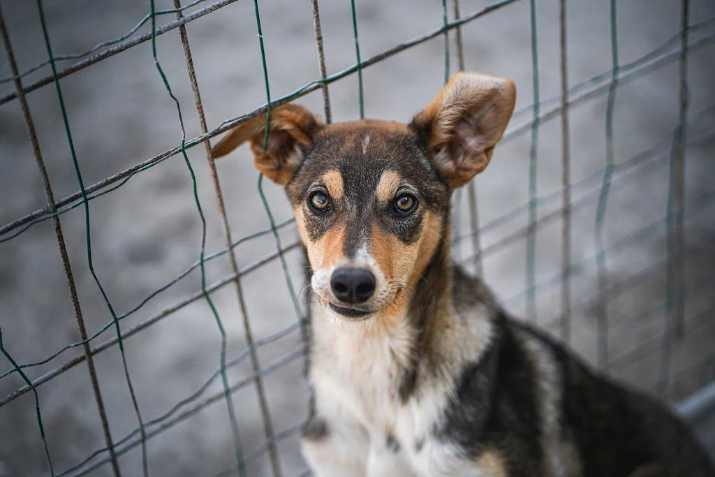 Сдружение "Обич за обич" — фото 5