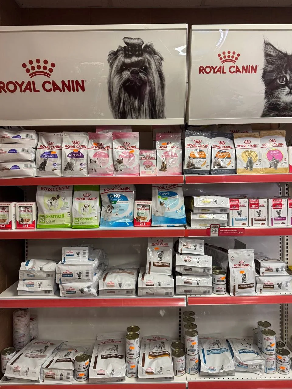 Ветеринарна клініка "Vet Health" — фото 4