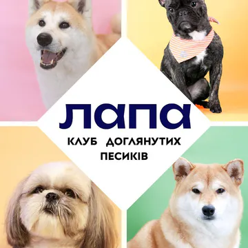 Фото бізнесу Грумінг-кабінет "Lapa"