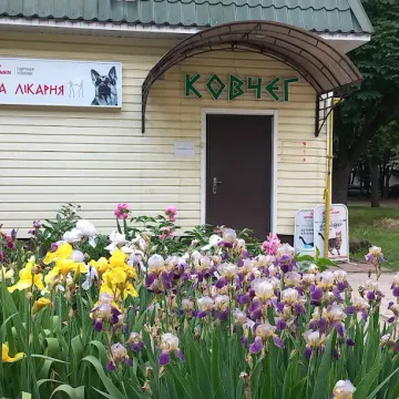 Фото бізнесу Ветеринарна лікарня "Ковчег"