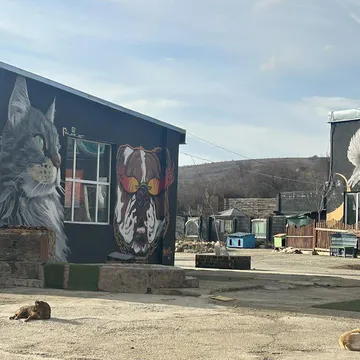 Фото бізнесу Приют за животни "Lucky Hunt City"