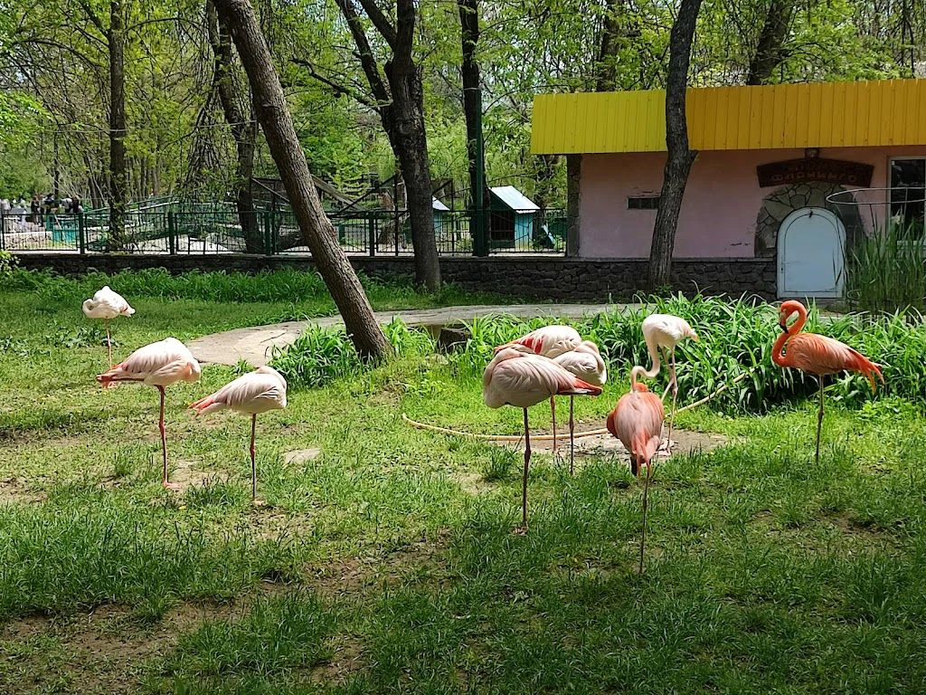 Миколаївський зоопарк — фото 3