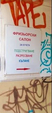 Зоомагазин "Джунгла" — фото 6