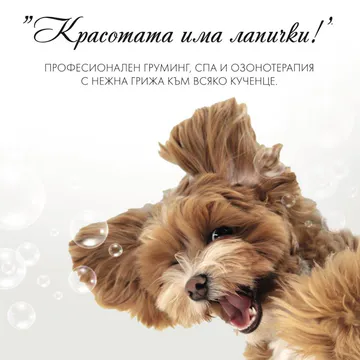Фото бізнесу Груминг салон "Dog Stories Grooming&Spa boutique"