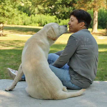 Фото бізнесу Розплідник лабрадорів ретриверів "Otono Beso"