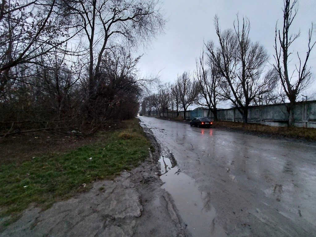 Притулок для тварин Кам'янської міської ради — фото 3
