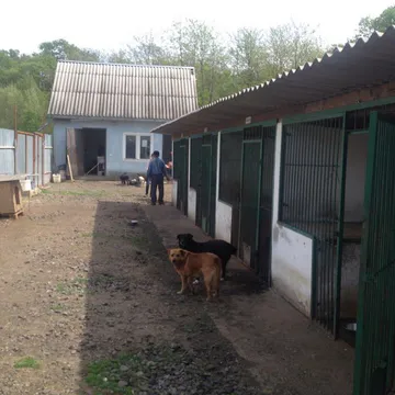Фото бізнесу Мукачівський притулок для собак "Лакі"