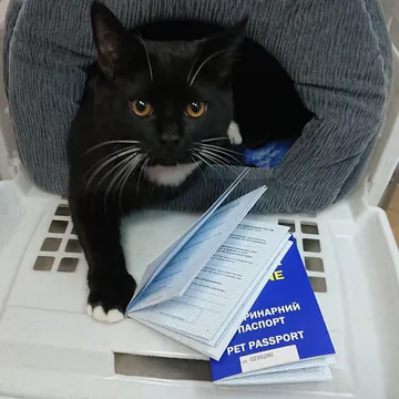 Фото бізнесу Ветеринарна клініка "Profi-VET"