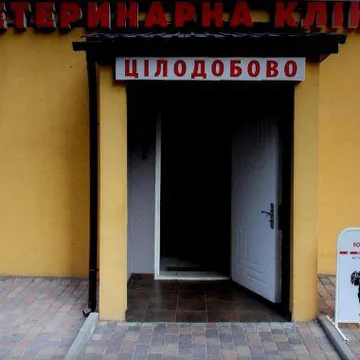 Фото бізнесу Ветеринарна клініка "Dingo"