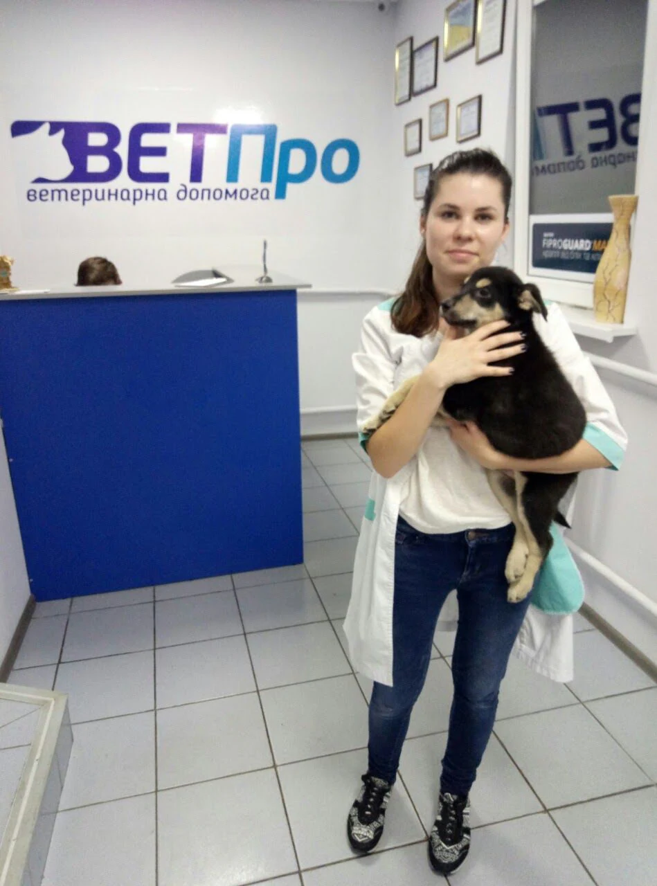 Клініка ветеринарної медицини "ВЕТПро" — фото 2