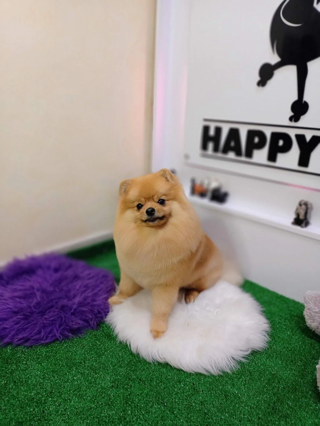 Зоосалон "Happy Dog" — фото 3