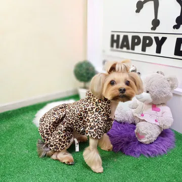 Фото бізнесу Зоосалон "Happy Dog"